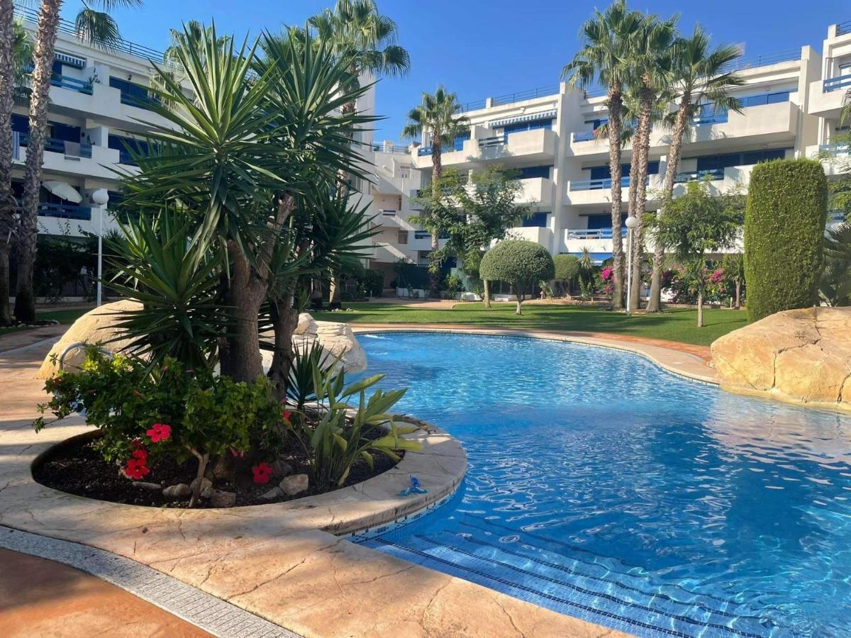 Coral House - La Calma - Playa Flamenca - Big Terrace & 4 Swimming Pools.公寓 外观 照片